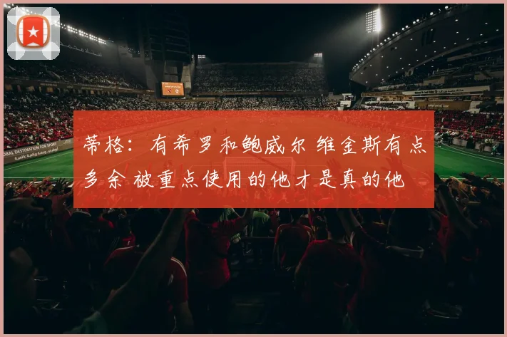 蒂格：有希罗和鲍威尔 维金斯有点多余 被重点使用的他才是真的他